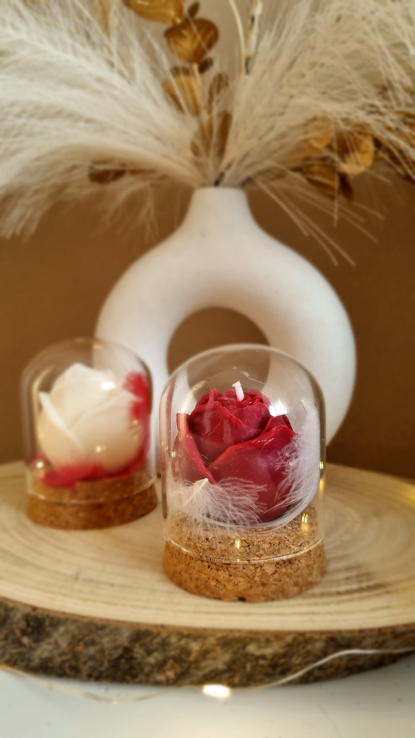 Roses Eternelles