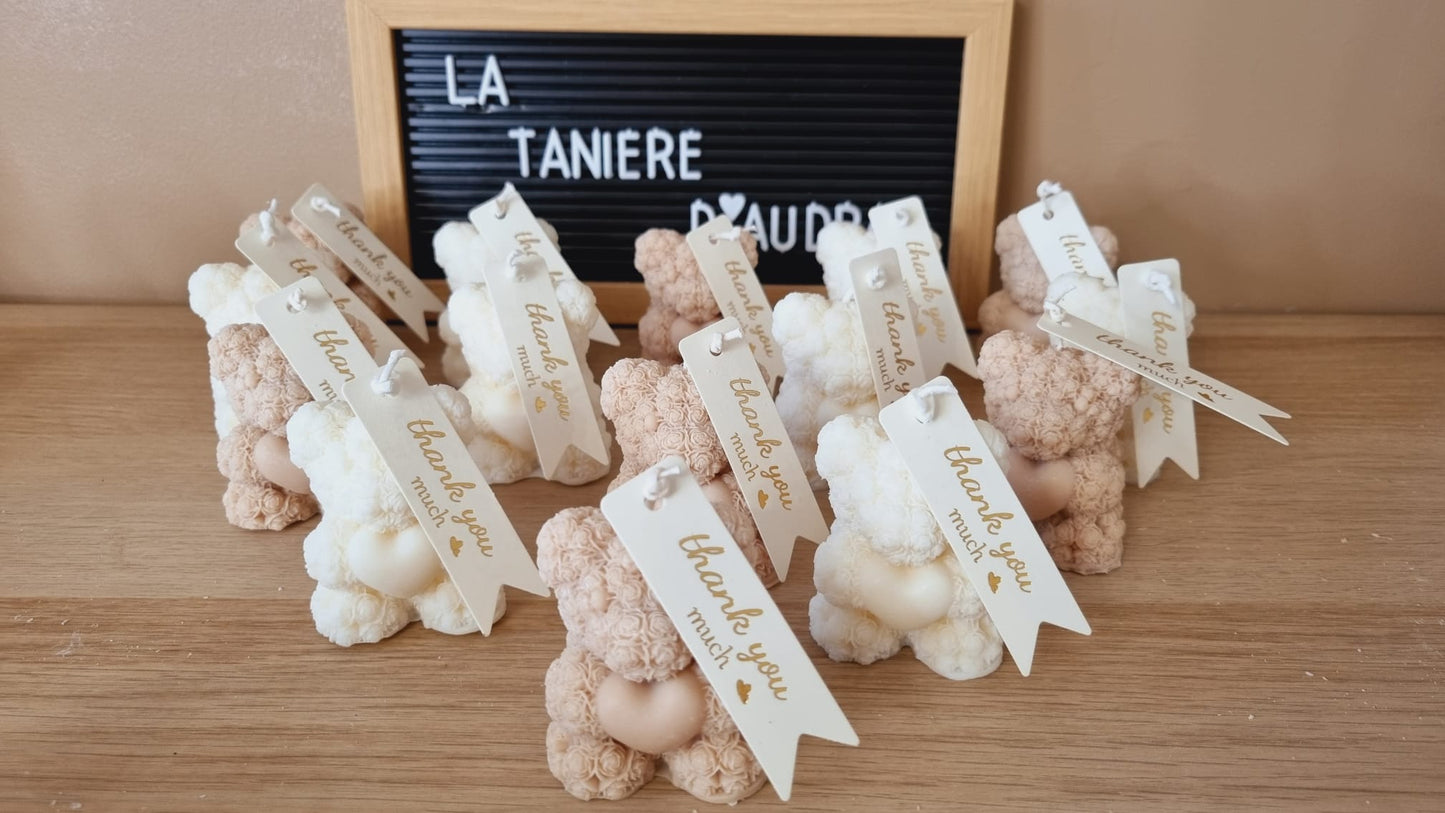 12 Bougies Nounours